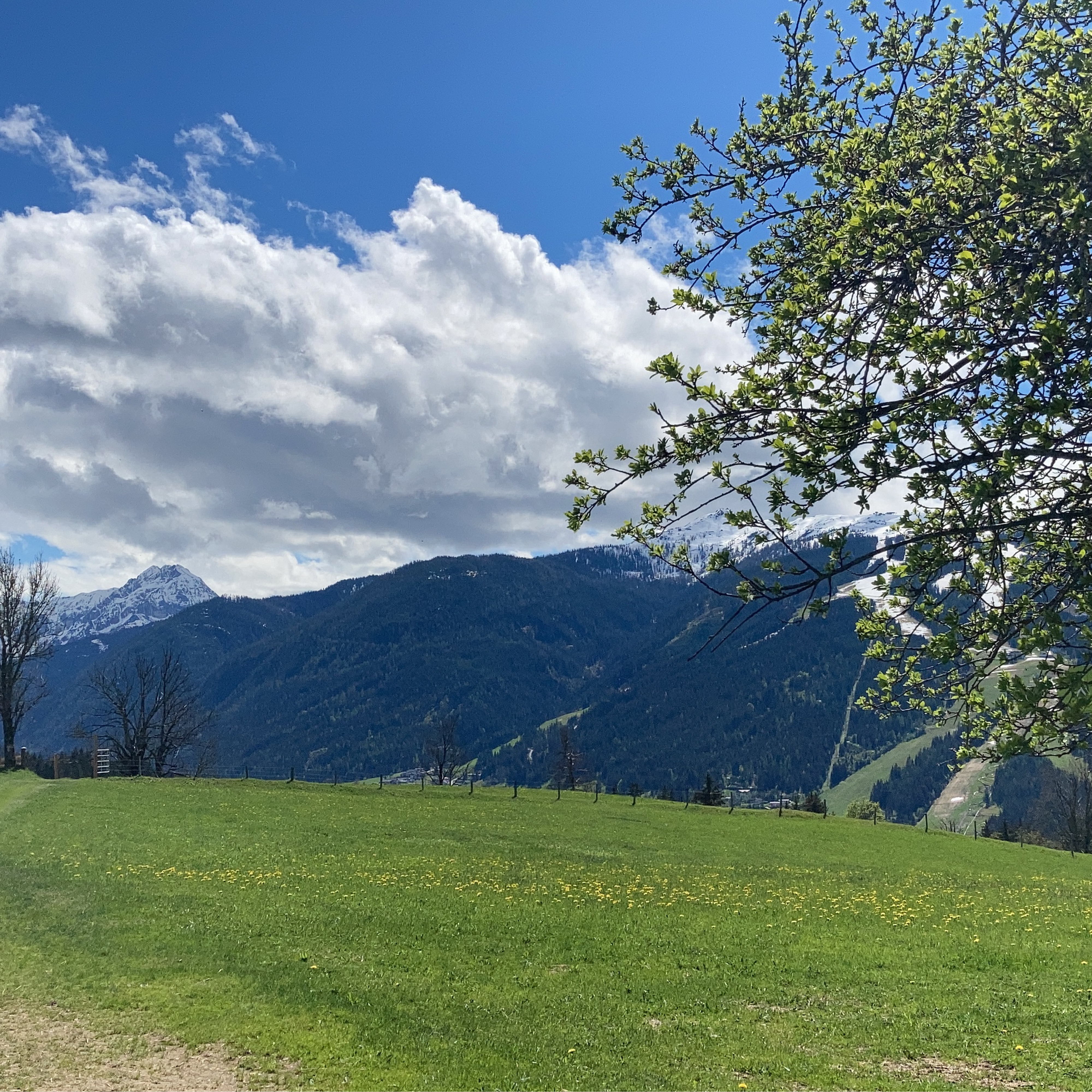 Winterbauerrunde