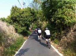 Hebe Bild 7 entlang der Bikemap-Route "ERS 鳳梨山 (實騎版)-11-03-19" hervor