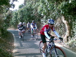 Hebe Bild 8 entlang der Bikemap-Route "ERS 鳳梨山 (實騎版)-11-03-19" hervor