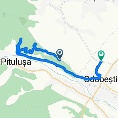 Unnamed Road to Strada Cuza Vodă 38, Odobești