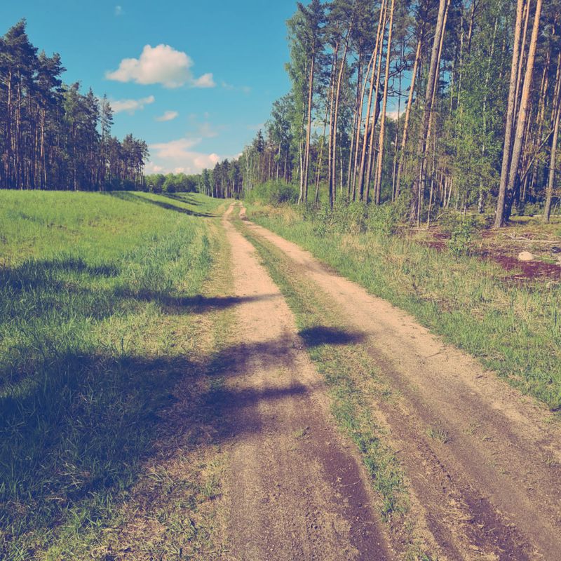 Wroc艂awska 1, 艢cinawa do Rybna 6, 艢cinawa