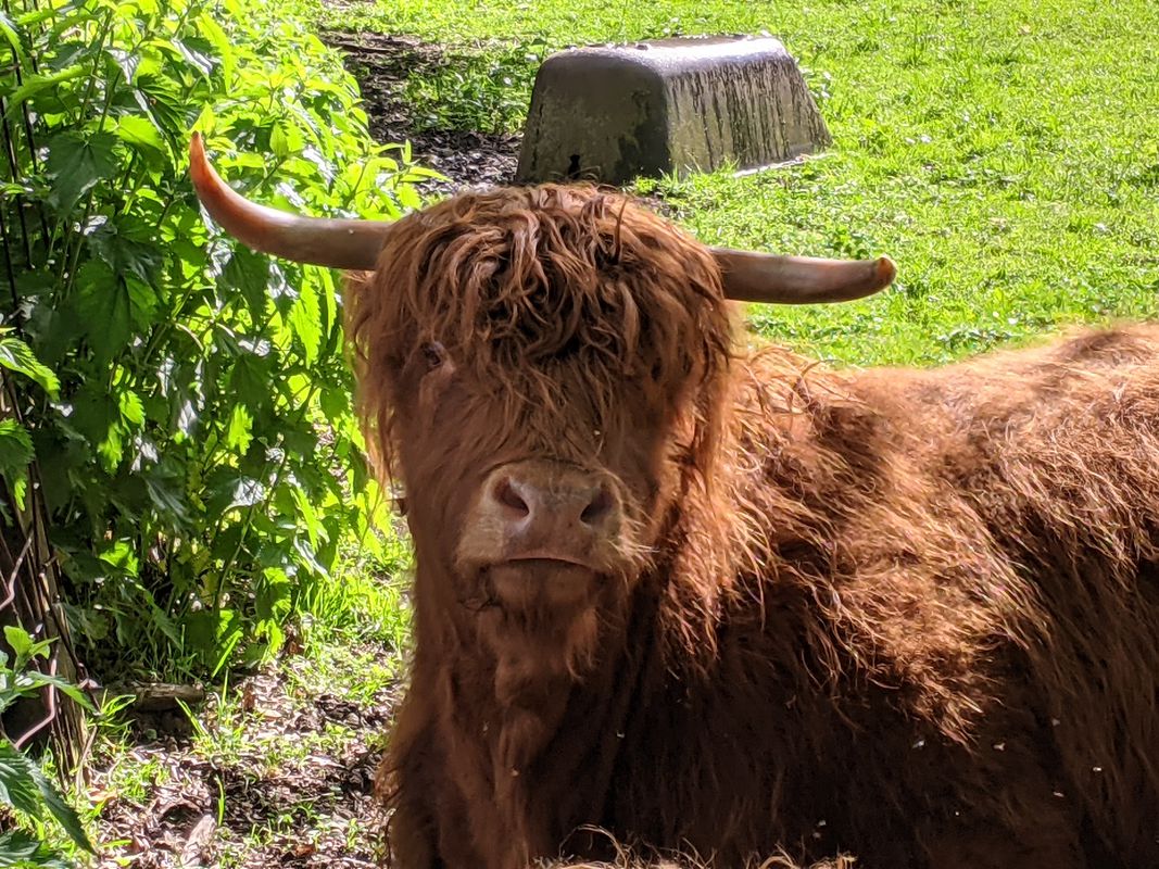 Halterner Straße 16, Marl nach Halterner Straße 16, Marl