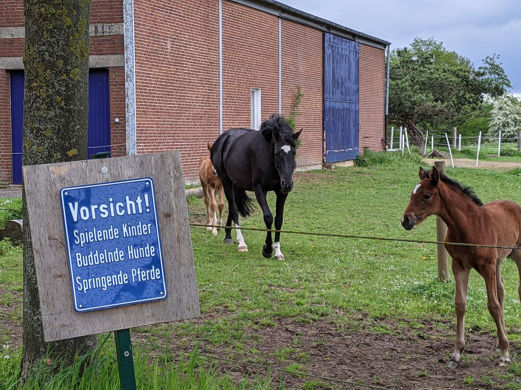 Halterner Straße 16, Marl nach Halterner Straße 16, Marl