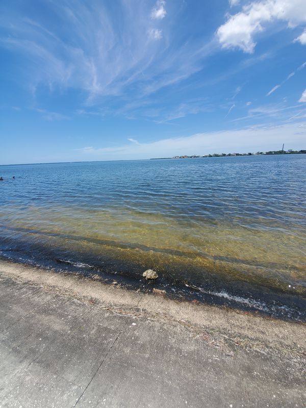 Castlewood Drive 4207, Holiday to Howard Park Causeway, Tarpon Springs