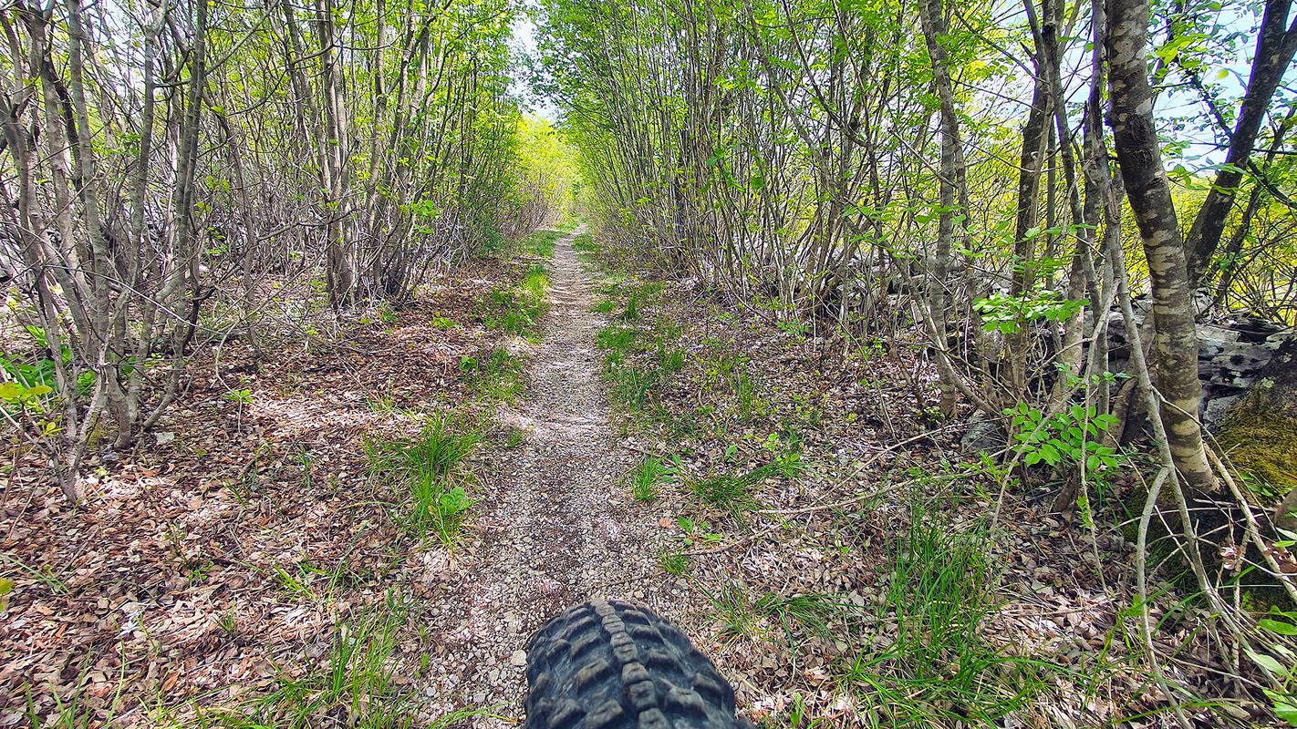 Rally Saturnus MTB