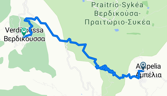 ΒΕΡΔΙΚΟΥΣΑ