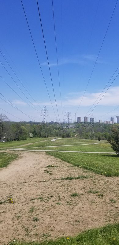 Bogert Avenue 325, Toronto to Bogert Avenue 372-325, Toronto