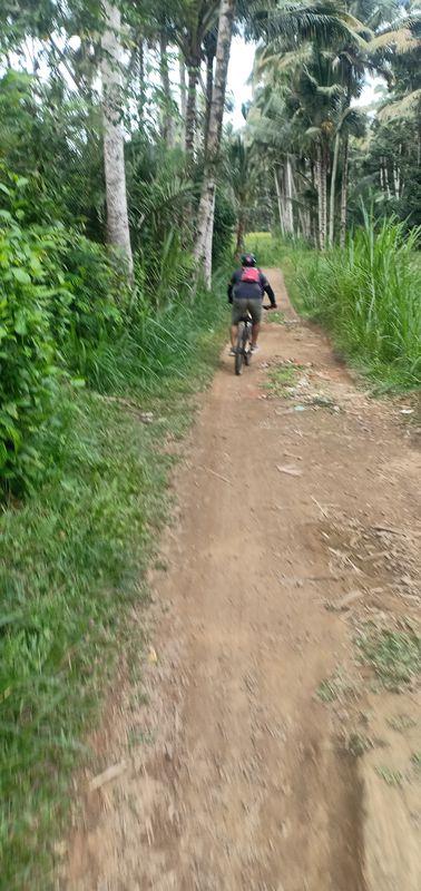 Jalan Raya Besakih 14, Rendang to Jalan Cendrawasih No.31, Kecamatan Gianyar