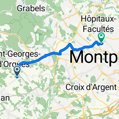 De 2670F Route de Saint-Georges-d'Orques, Pignan à 32 Avenue Pierre d'Adhémar, Montpellier