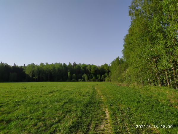 Photo 1: Driver #0000CDAndrey #FF0000Blod.