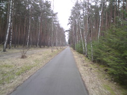 Hebe Bild 10 entlang der Bikemap-Route "Flugplatz Finow Tour" hervor