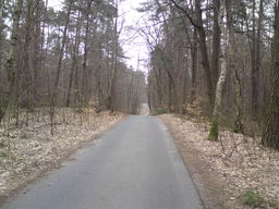 Hebe Bild 2 entlang der Bikemap-Route "Flugplatz Finow Tour" hervor