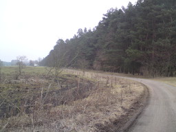 Hebe Bild 3 entlang der Bikemap-Route "Flugplatz Finow Tour" hervor