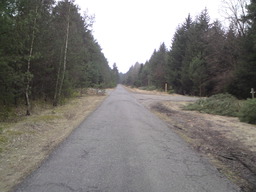 Hebe Bild 28 entlang der Bikemap-Route "Flugplatz Finow Tour" hervor