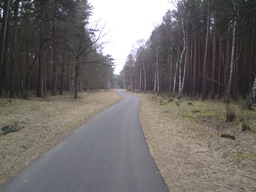 Hebe Bild 6 entlang der Bikemap-Route "Flugplatz Finow Tour" hervor