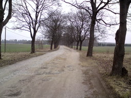 Hebe Bild 4 entlang der Bikemap-Route "Flugplatz Finow Tour" hervor