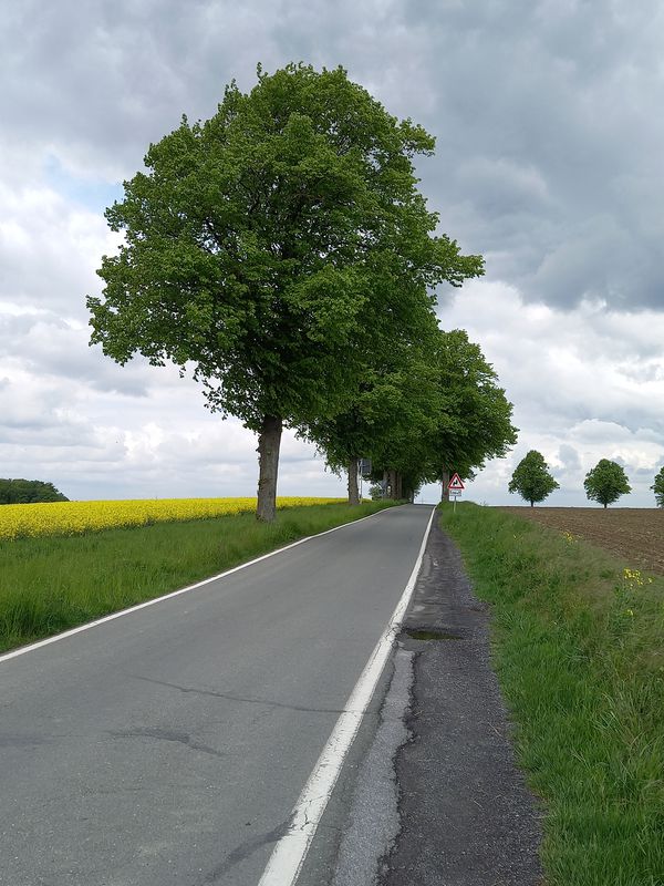 Friedhofstraße 21A, Bönen nach Friedhofstraße 14, Bönen