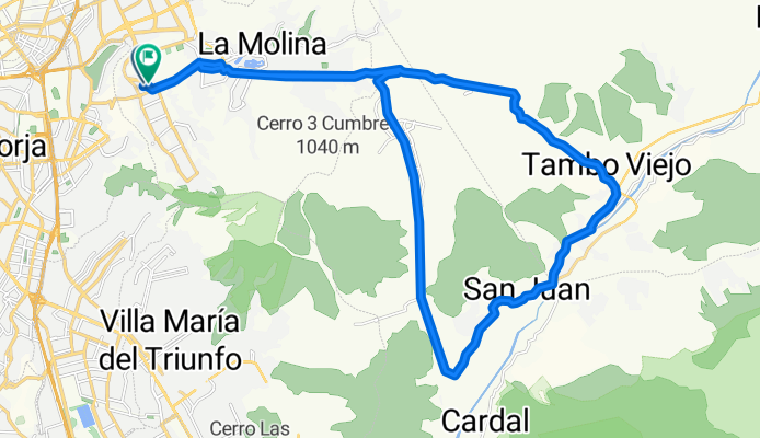 De Las Begonias 345, La Molina a Los Sauces 389, Cercado de Lima