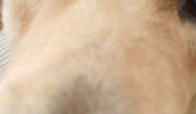 Foto 2 del percorso Bikemap "De Aparicio Saravia 904, Melo a Aparicio Saravia 904, Melo"