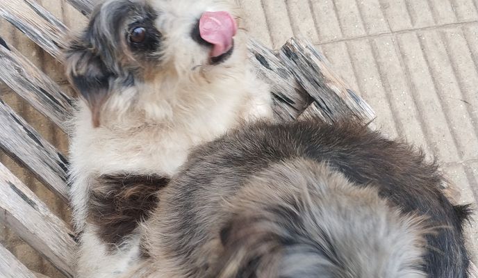 Foto 1 del percorso Bikemap "De Aparicio Saravia 904, Melo a Aparicio Saravia 904, Melo"