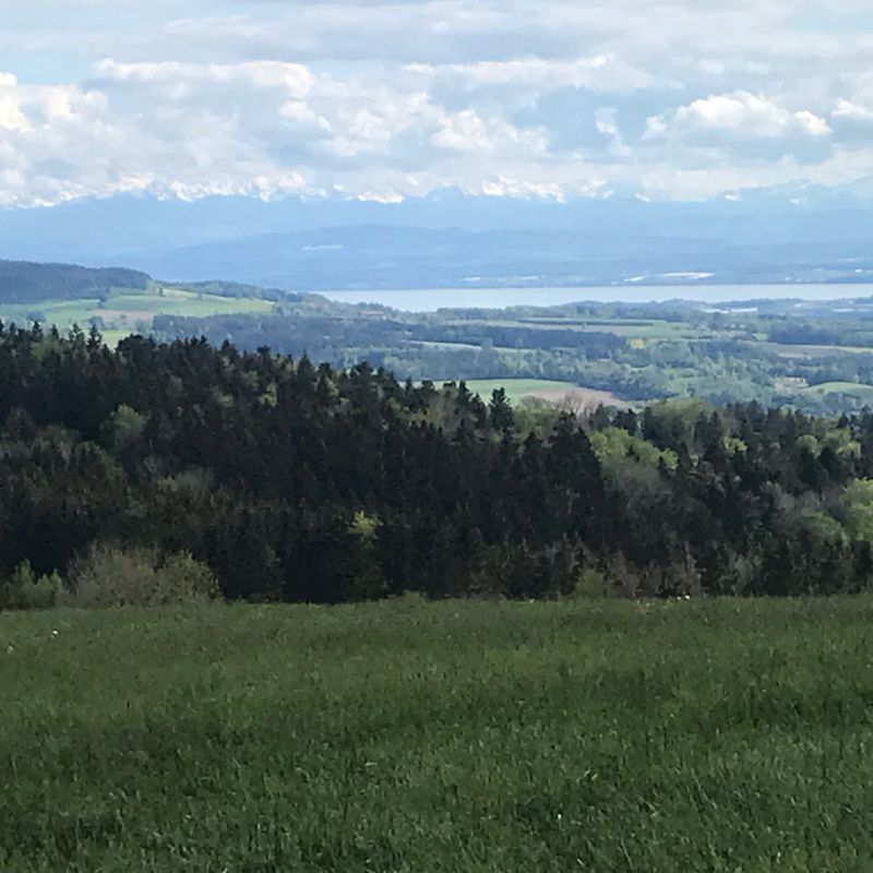 Rund um Deggenhausen (Höchsten)