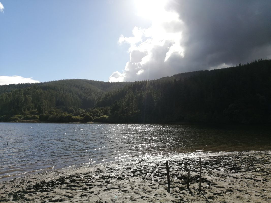 De Coronel a Palena 1634, Coronel