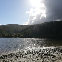 De Coronel a Palena 1634, Coronel