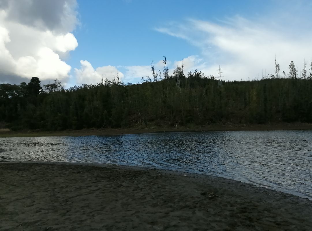 De Coronel a Palena 1634, Coronel