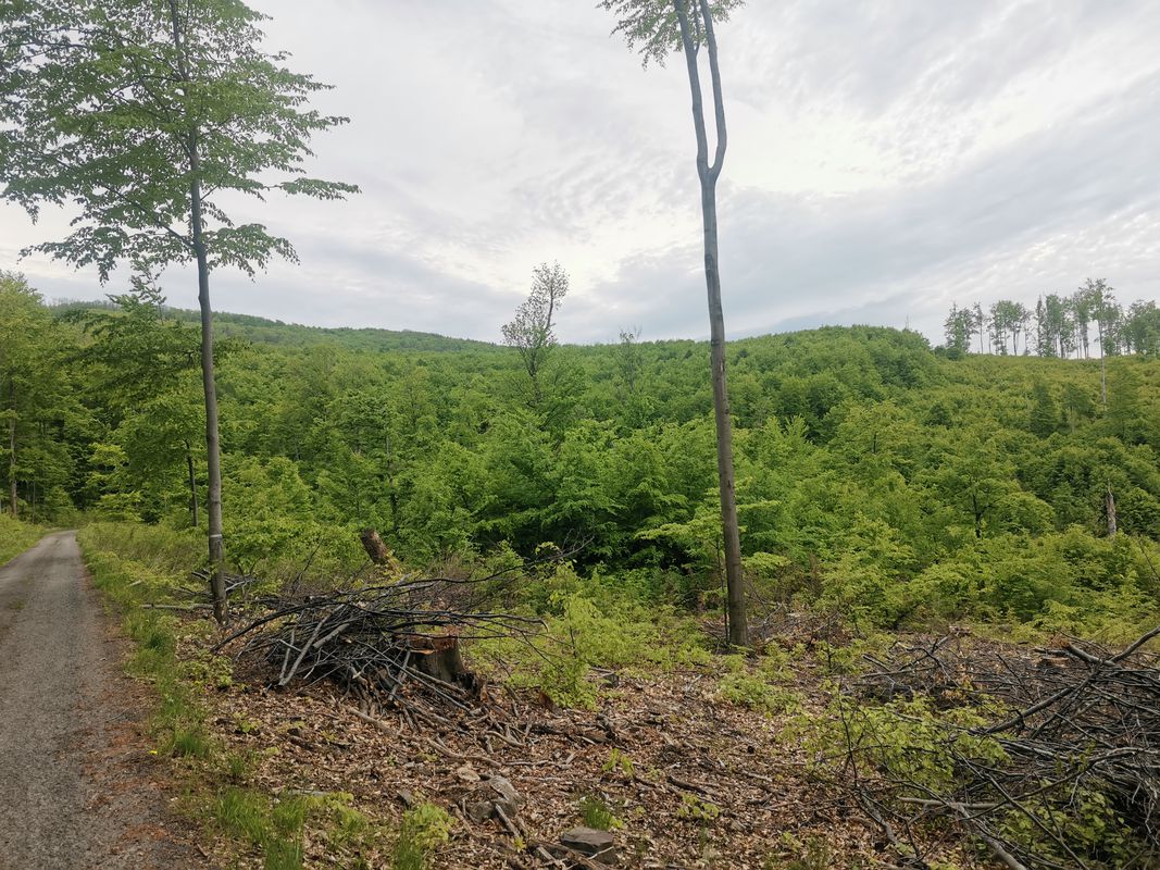 Košický Klečenov do Košický Klečenov