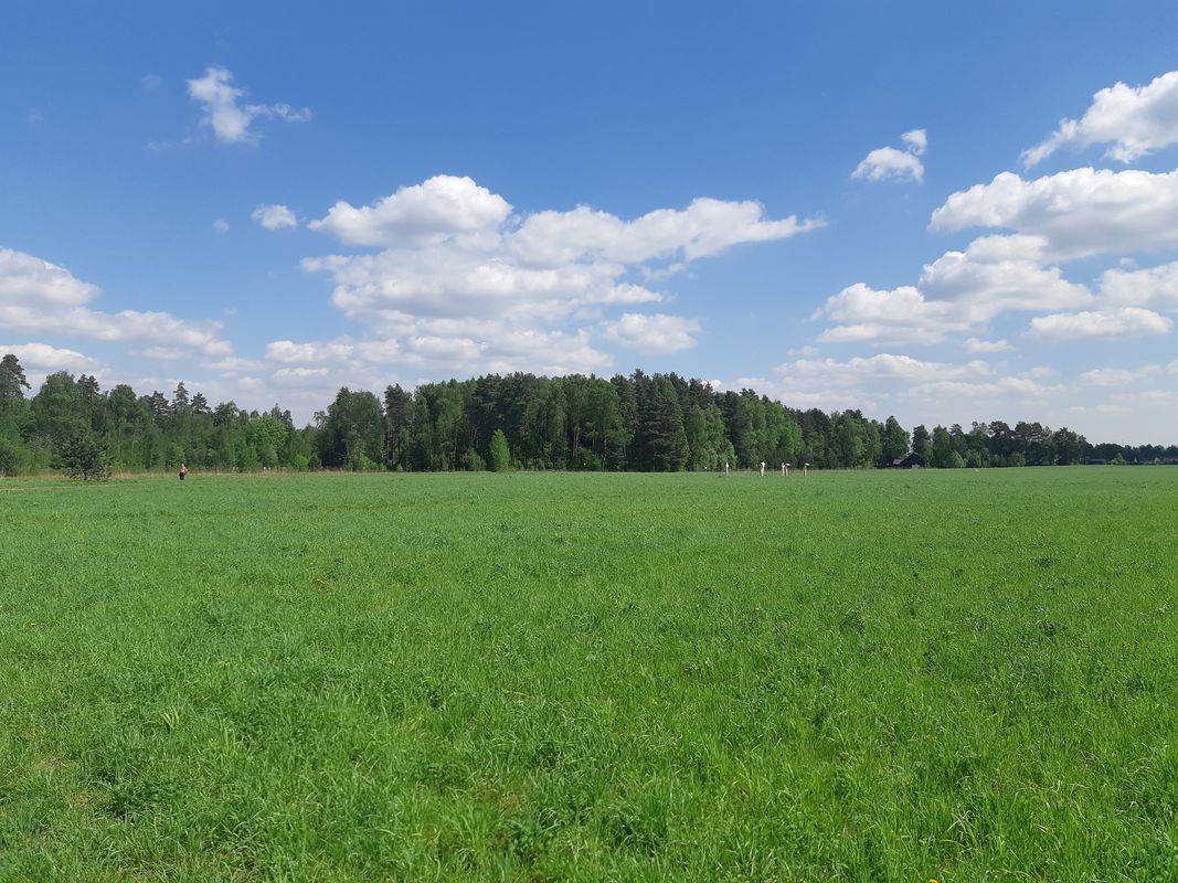 От улица Октябрьская 1, Железнодорожный до Спасский бульвар 4, Железнодорожный