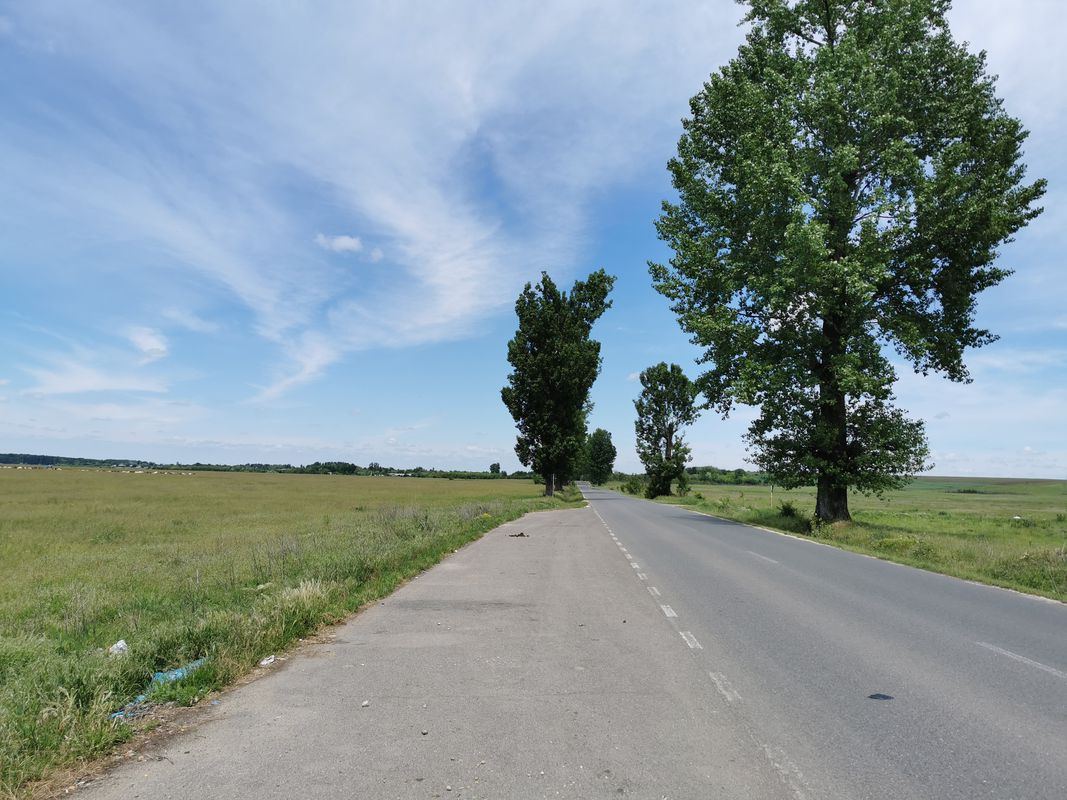 DJ506 658, Bâscoveni to DJ506 658, Bâscoveni