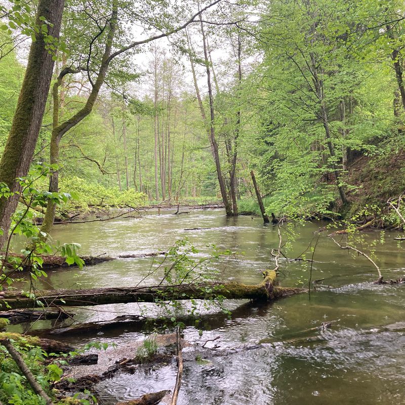 Mieczysława Niedziałkowskiego 23a, Olsztyn do Stefana Żeromskiego 8, Olsztyn