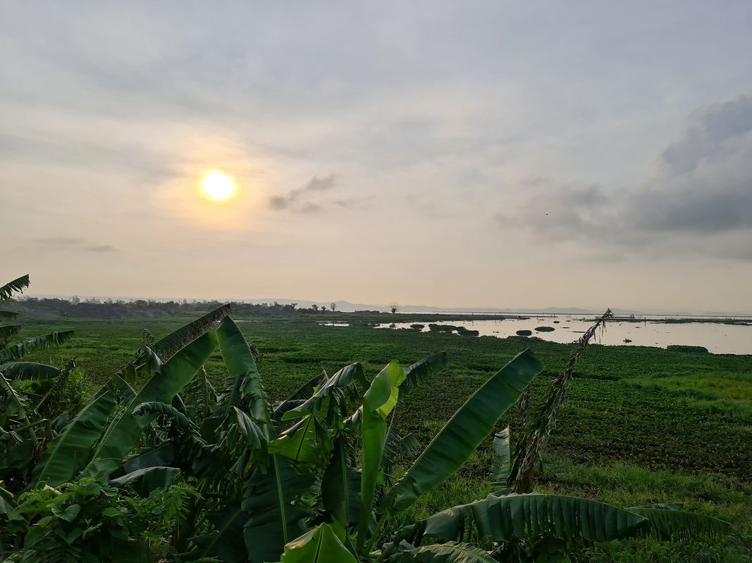 Unnamed Road, Muntinlupa to Jasmin, Lungsod Quezon