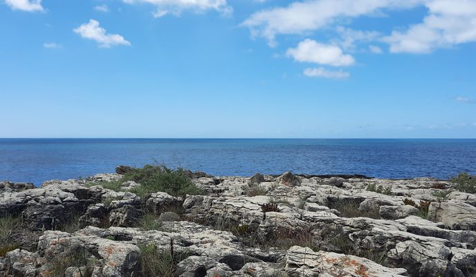 Zdjęcie 2 trasy Bikemap „Avenida Duque de Ávila 58, Lisboa to N247 386A, Cascais”