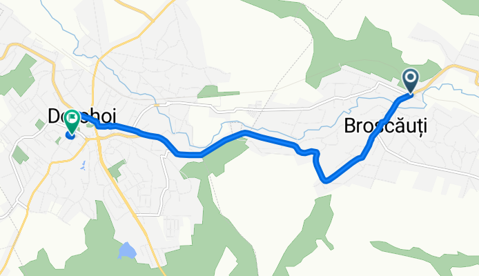 DJ292, Broscăuţi to Aleea Cristalului 11, Dorohoi