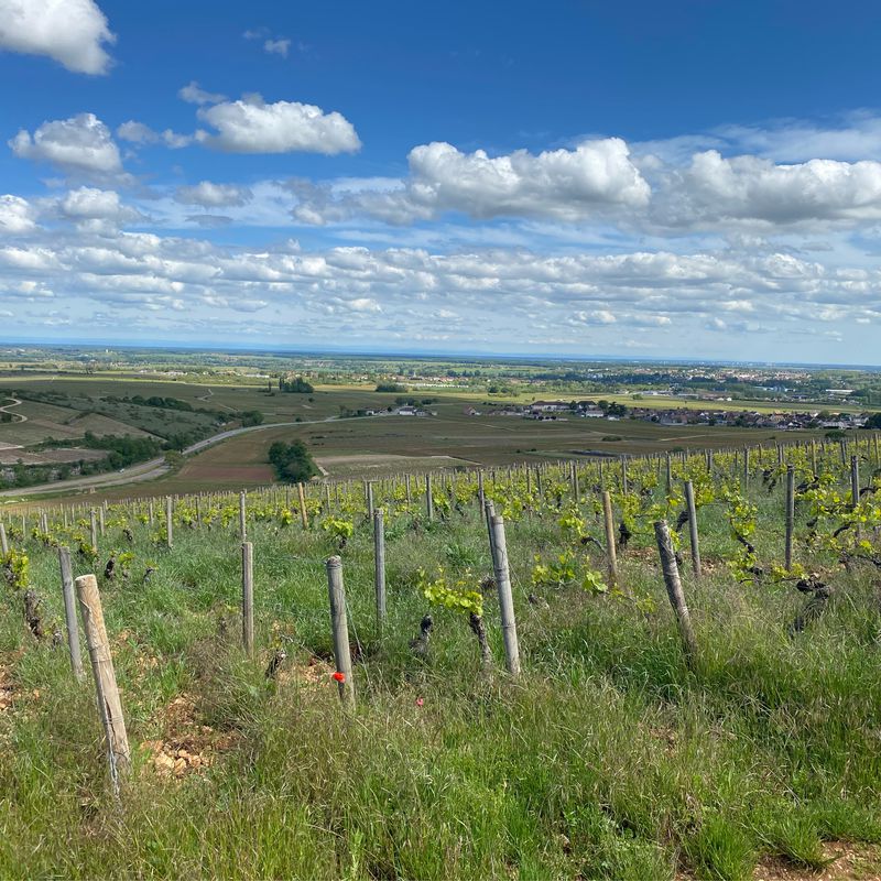 De 10–12 Route de Sampigny, Cheilly-lès-Maranges à 6 Rue du Lavoir, Cheilly-lès-Maranges