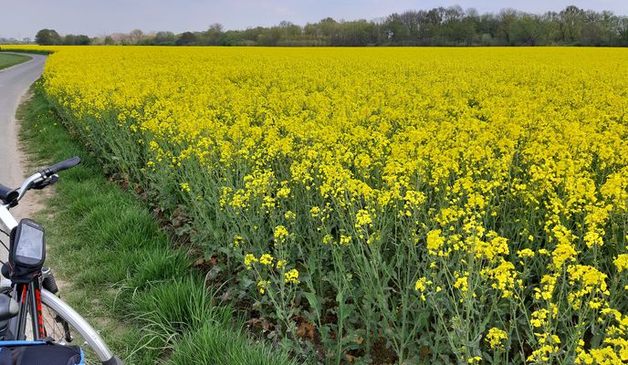 Foto 1 der Bikemap-Route "KR Bockum - Gellep - Nierst - Bockum"