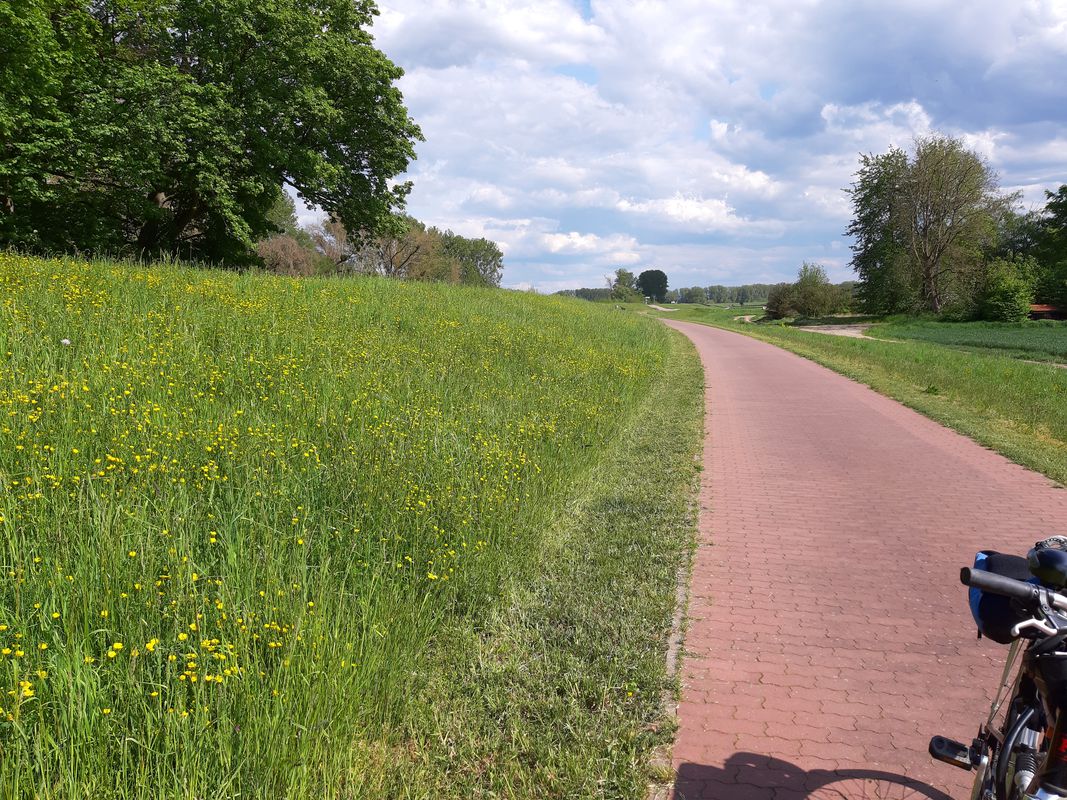 KR Bockum - Gellep - Nierst - Bockum