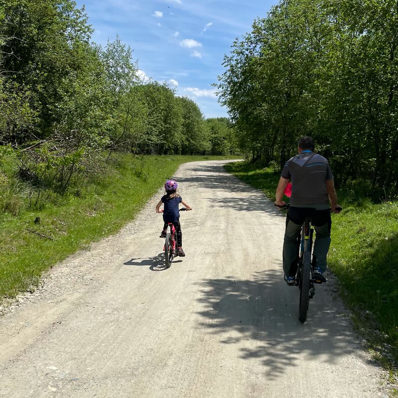 Vistisoara - Sambata de Sus