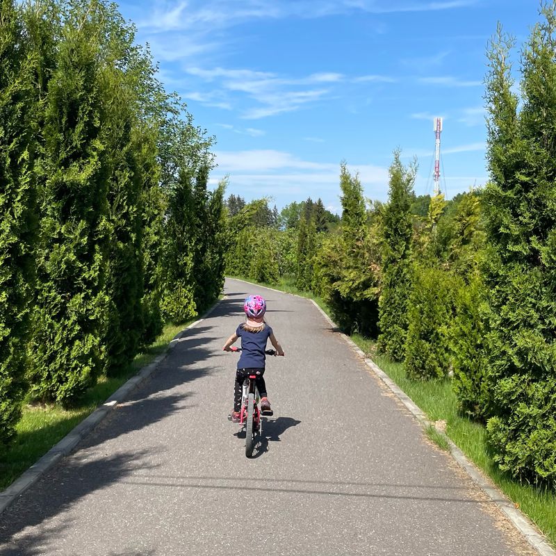 Vistisoara - Sambata de Sus