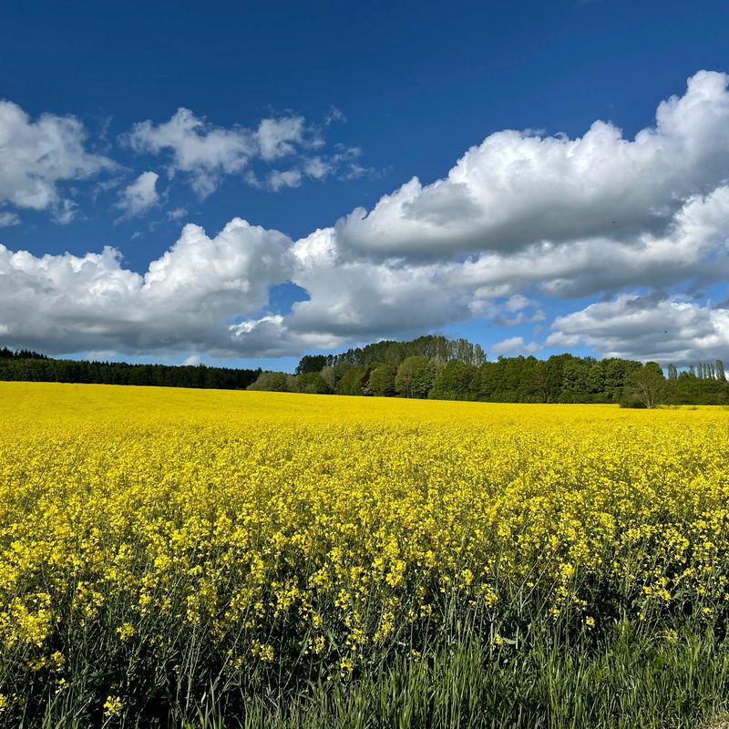 Auwiesenweg 31, Fahrenzhausen nach Auwiesenweg 19, Fahrenzhausen