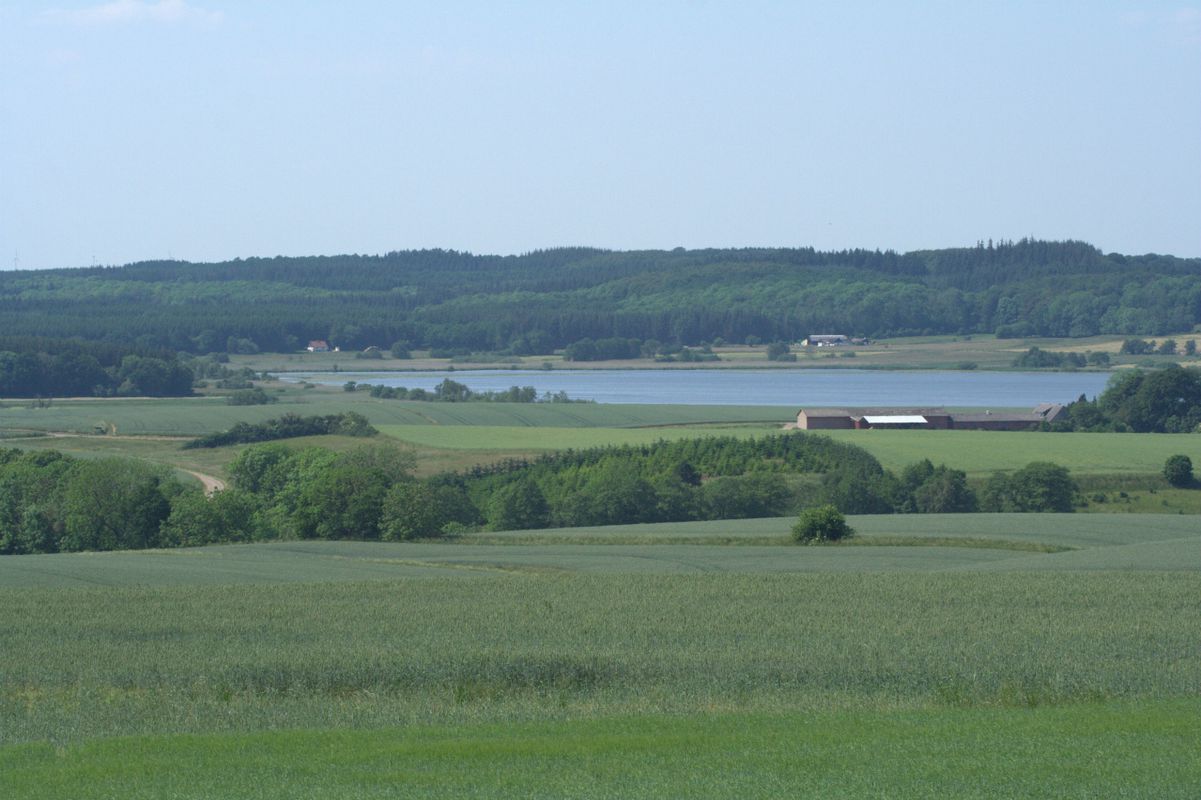 Hammel Lading Korsholm