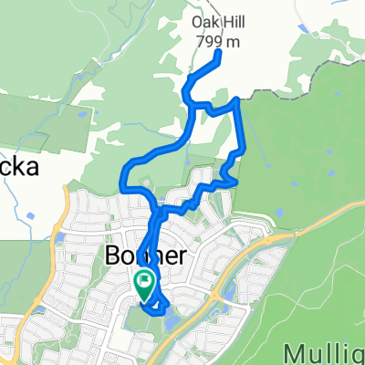 Oak Hill circuit