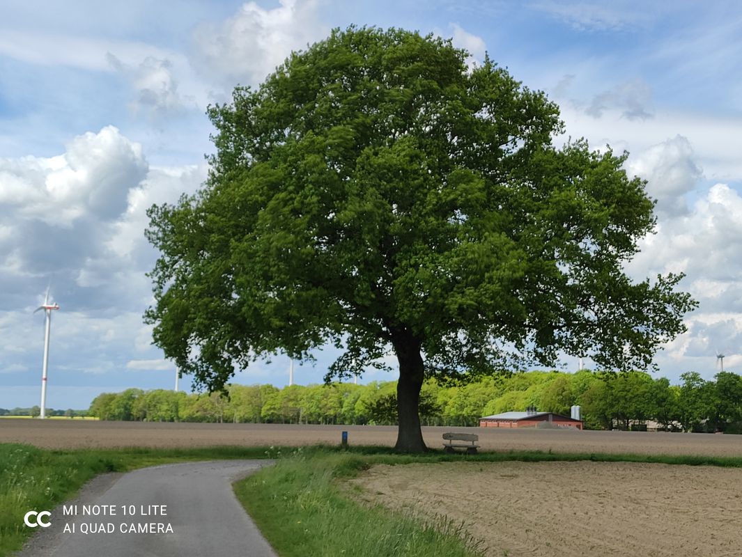 Erdölroute