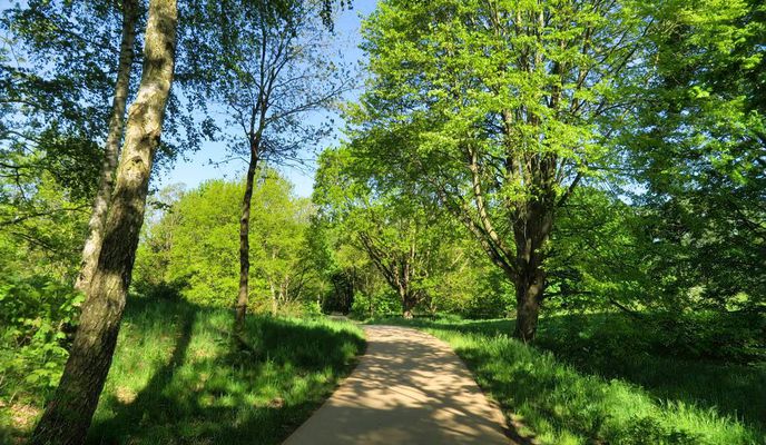 Photo 2 of the Bikemap route "Schwerin-Rundtour: Die 8 vom Siebendörfer Moor mit Todtenweg 🚴🏼"