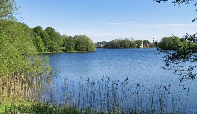 Photo 1 of the Bikemap route "Schwerin-Rundtour: Die 8 vom Siebendörfer Moor mit Todtenweg 🚴🏼"