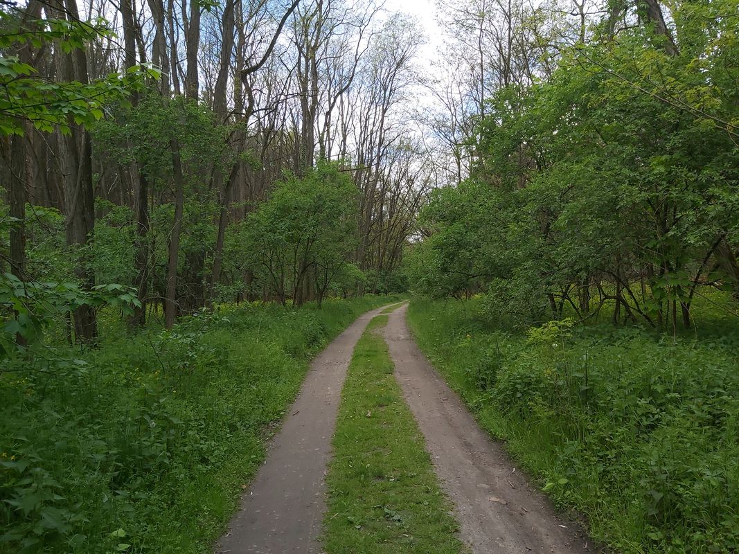 Caputh nach Lehnin über Damsdorf, Werder Havel nach Caputh zurück.