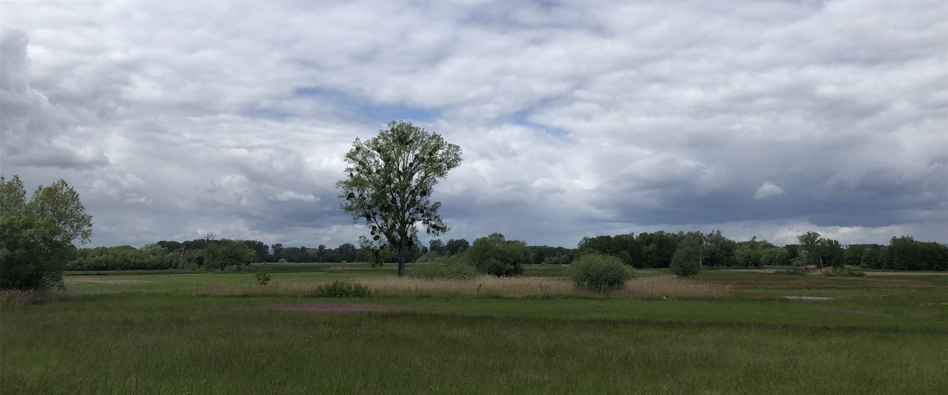 [DAY 30] Karlsruhe - Mannheim