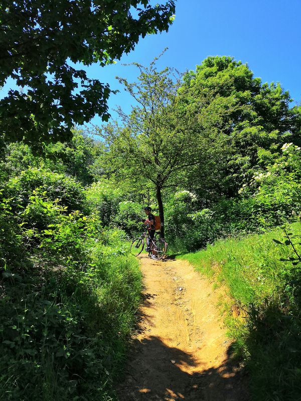 Bergamo to Calolziocorte