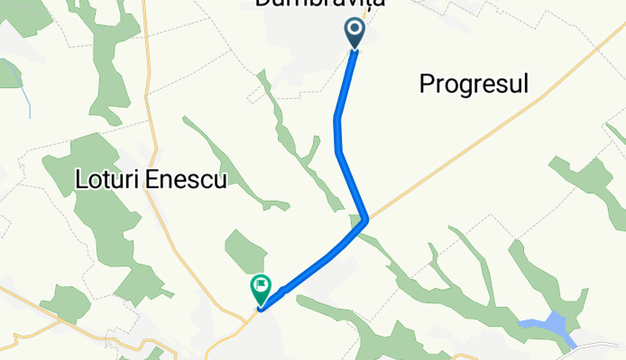 DN29A, Dumbrăvița to Strada Sfântul Ioan Românul 133, Dorohoi
